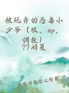 被玩弄的恶毒小少爷（双，np，调教）