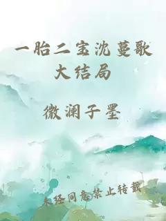 一胎二宝沈蔓歌大结局