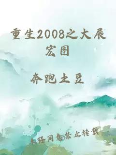 重生2008之大展宏图