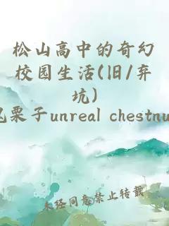 松山高中的奇幻校园生活(旧/弃坑)