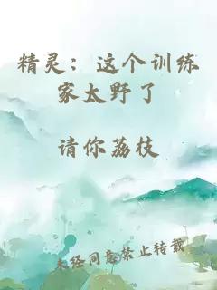 精灵：这个训练家太野了