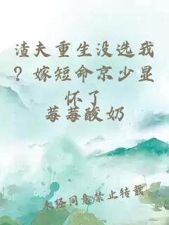 渣夫重生没选我？嫁短命京少显怀了