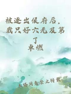 被逐出侯府后，我只好六元及第了