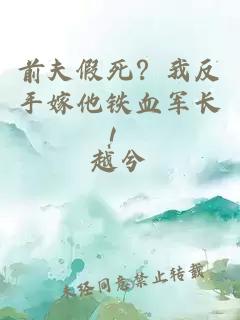 前夫假死？我反手嫁他铁血军长！
