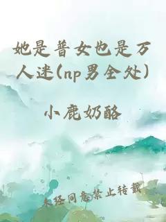她是普女也是万人迷(np男全处)