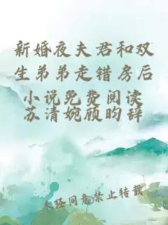 新婚夜夫君和双生弟弟走错房后小说免费阅读