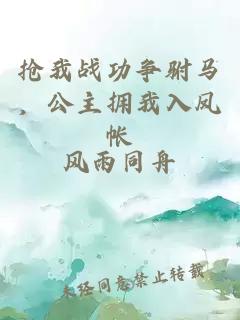抢我战功争驸马，公主拥我入凤帐