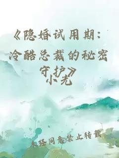 《隐婚试用期：冷酷总裁的秘密守护》