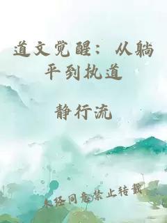 道文觉醒：从躺平到执道