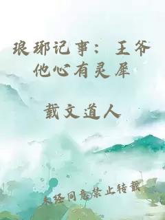 琅琊记事：王爷他心有灵犀
