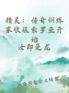 精灵：传奇训练家收服索罗亚开始