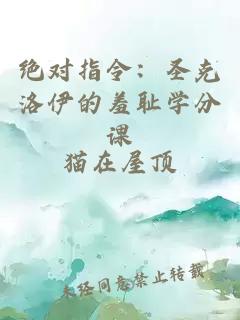 绝对指令：圣克洛伊的羞耻学分课