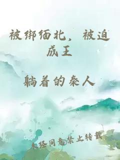 被绑缅北，被迫成王