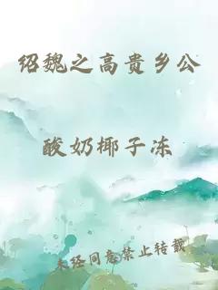 绍魏之高贵乡公